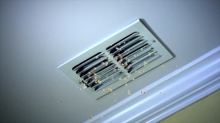 Best Dryer Vent Cleaning Services  in Ladue, MO