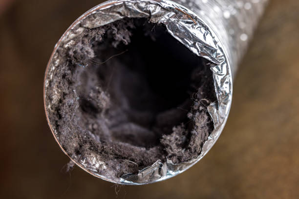 Best Ventilation Cleaning Services  in Ladue, MO