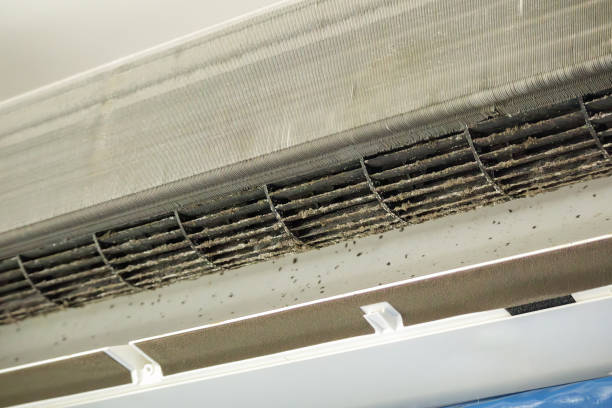 Best Commercial Air Duct Cleaning  in Ladue, MO